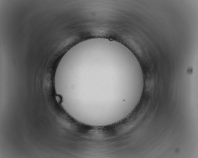 X0000101680211200807241354