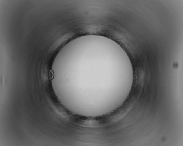 X0000101680212200807241354