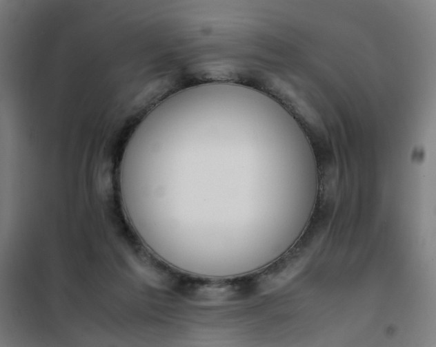 X0000101680213200807241354