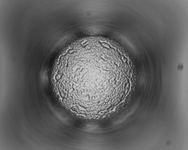 X0000101680214200807241354