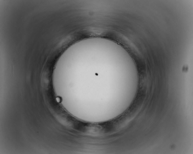 X0000101680215200807241354