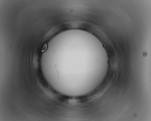 X0000101680216200807241354