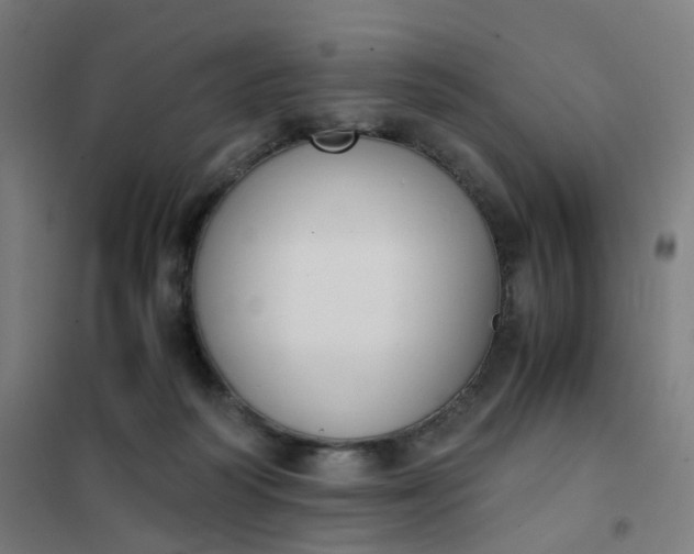 X0000101680218200807241353