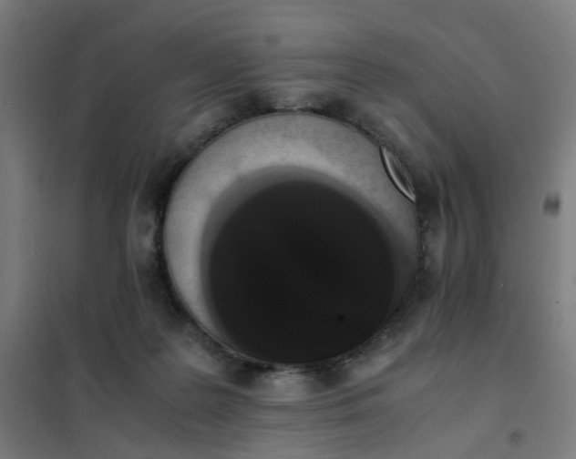 X0000101680219200807241353