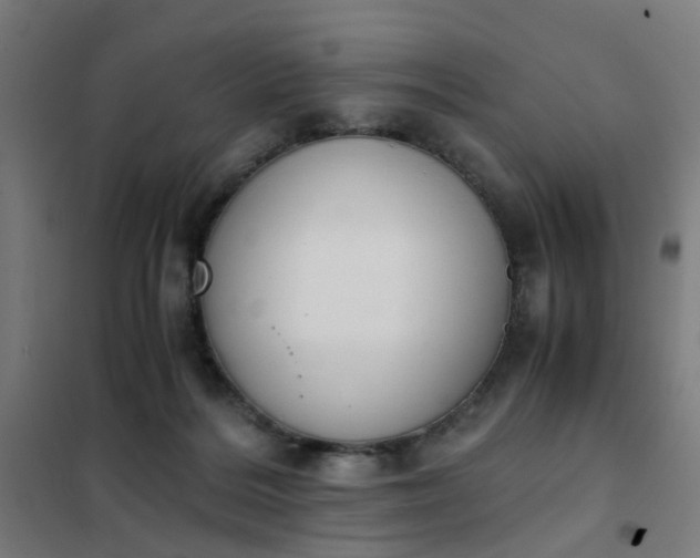 X0000101680220200807241353