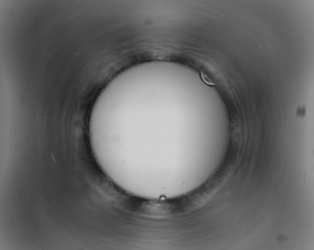 X0000101680221200807241353