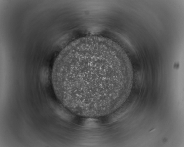 X0000101680222200807241353