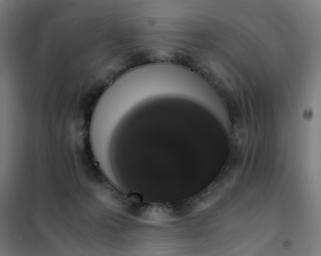 X0000101680223200807241353