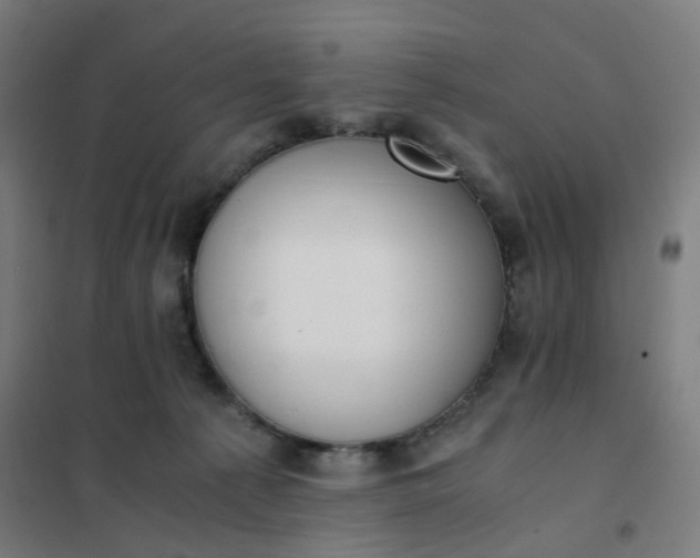 X0000101680225200807241353