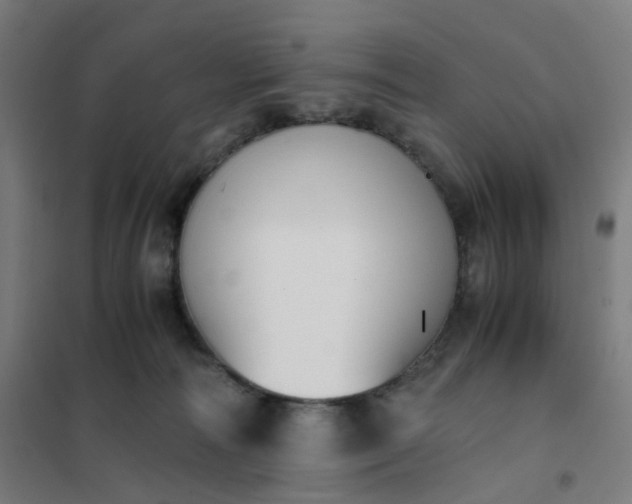 X0000101680226200807241353