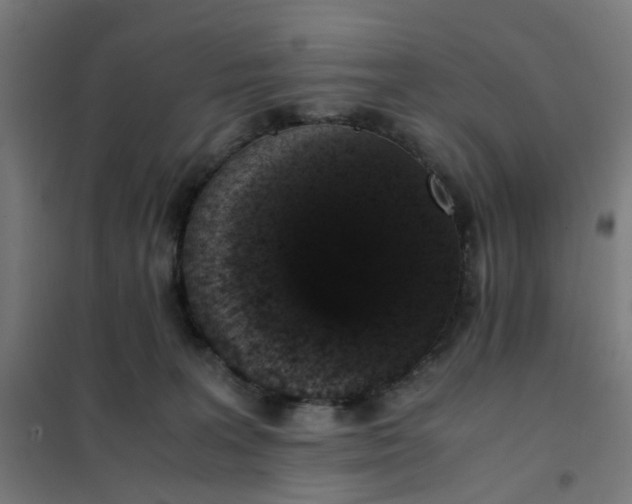 X0000101680227200807241353