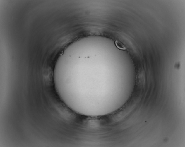 X0000101680228200807241353