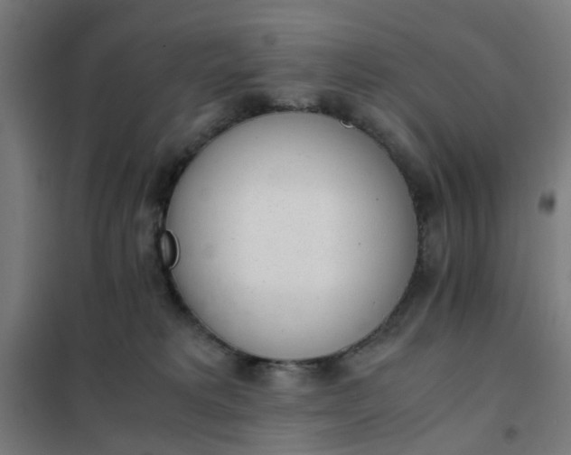 X0000101680229200807241353