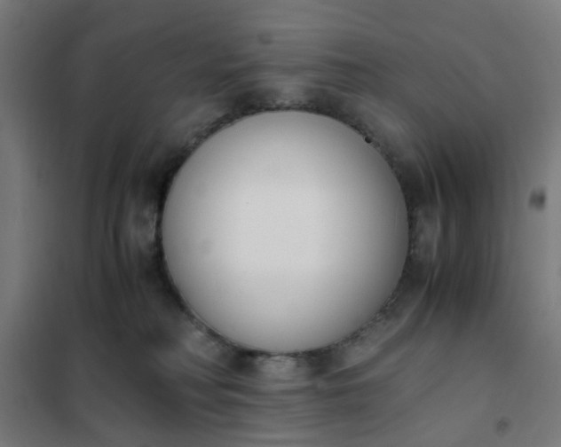 X0000101680230200807241353