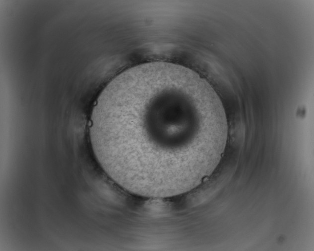 X0000101680231200807241353