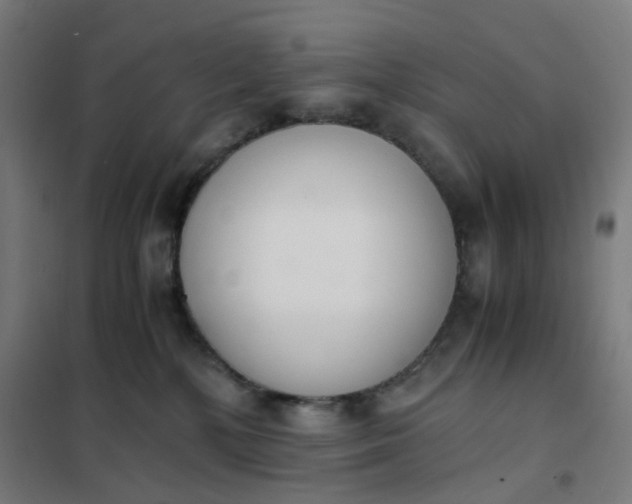 X0000101680232200807241353