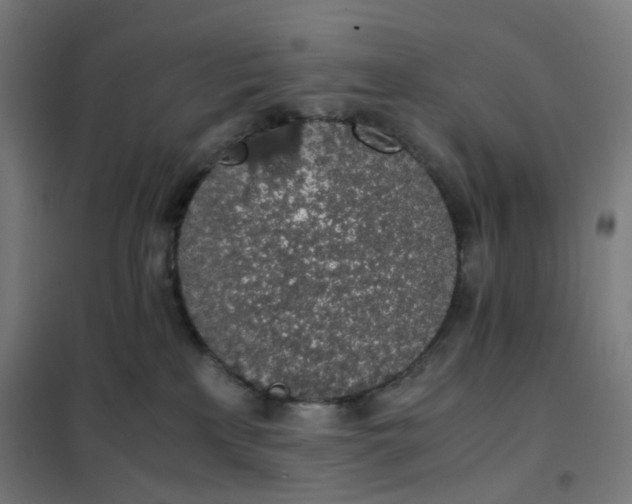 X0000101680233200807241353