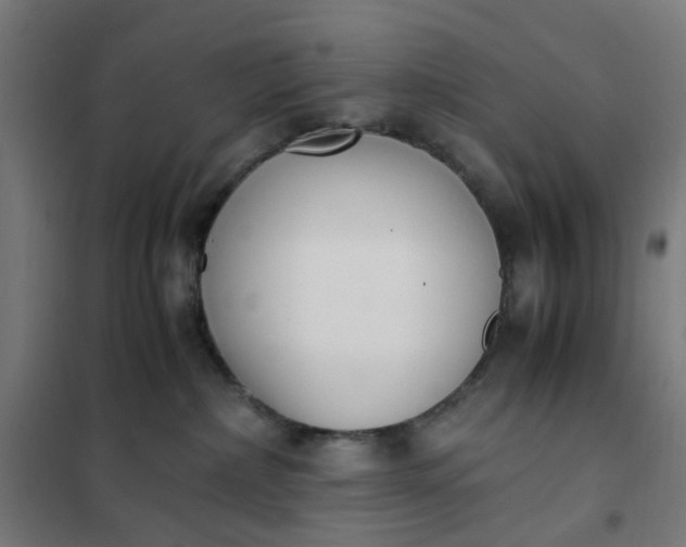 X0000101680236200807241353