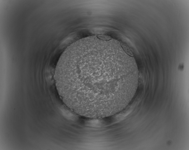 X0000101680237200807241353