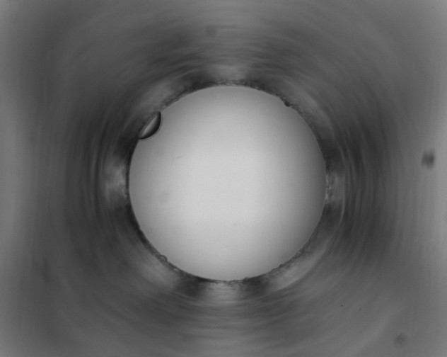 X0000101680238200807241353