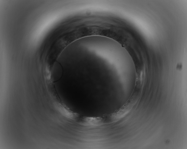 X0000101680239200807241353