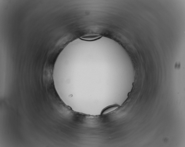 X0000101680240200807241353