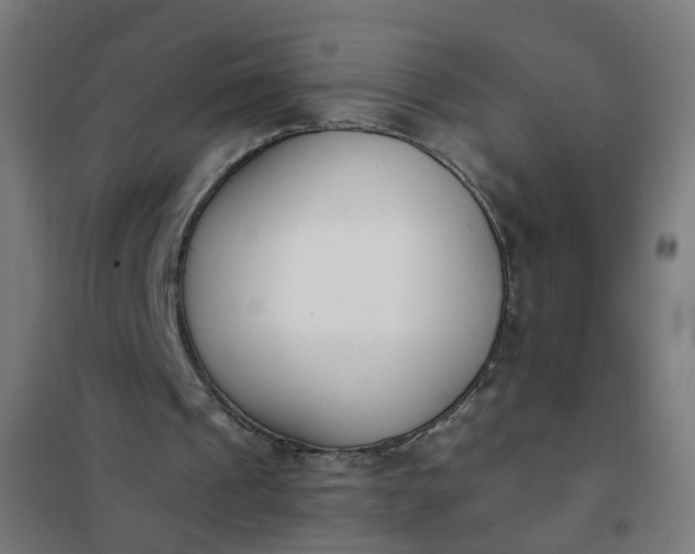 X0000101680241200807241352