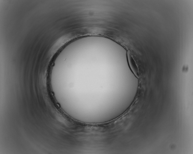 X0000101680242200807241352