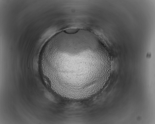 X0000101680243200807241352