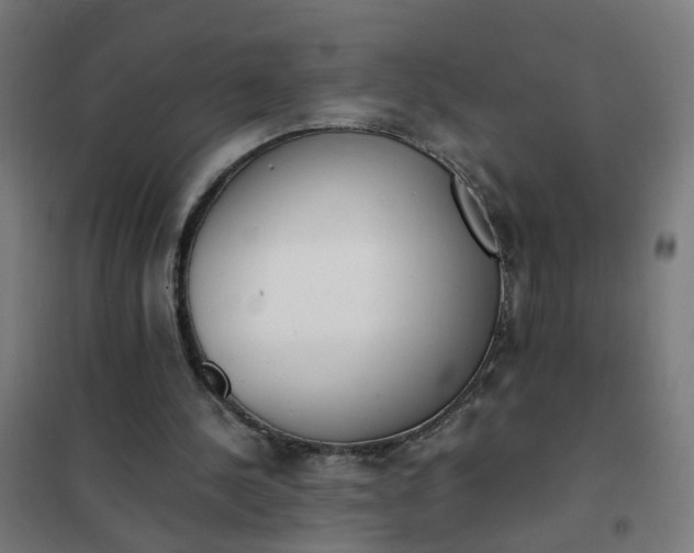 X0000101680244200807241352