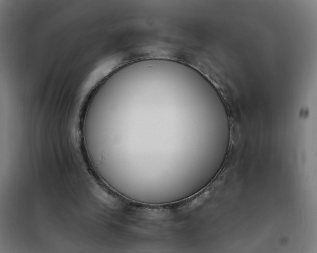 X0000101680245200807241352