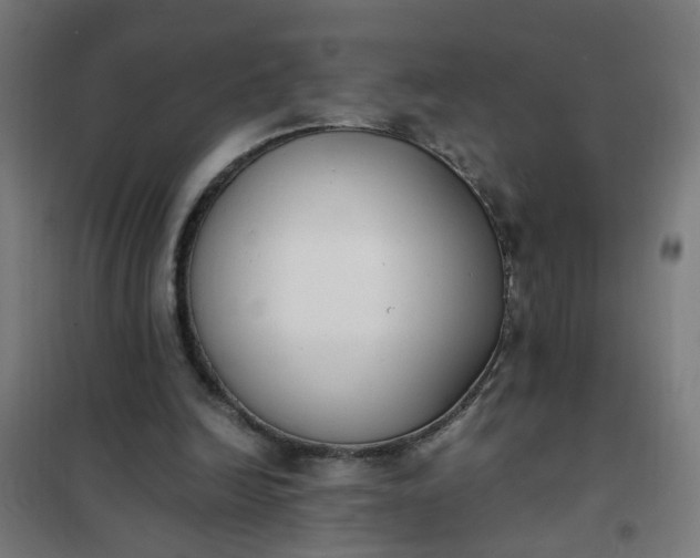 X0000101680246200807241352