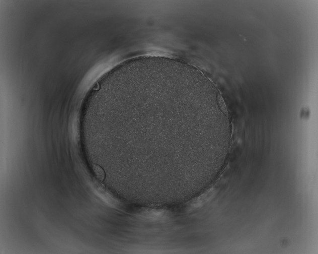 X0000101680247200807241352