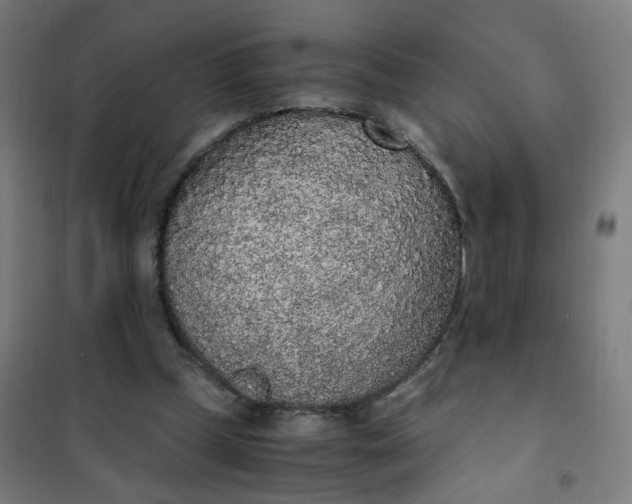 X0000101680249200807241352