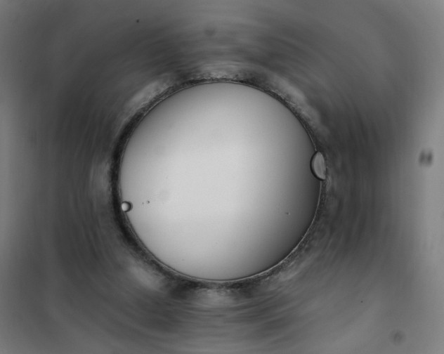 X0000101680250200807241352