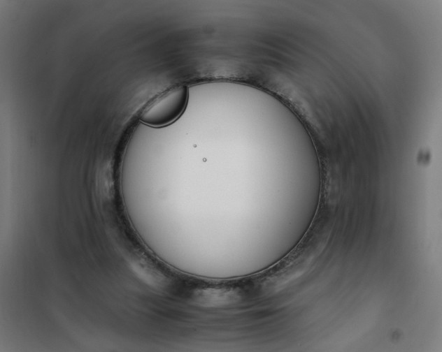 X0000101680251200807241352