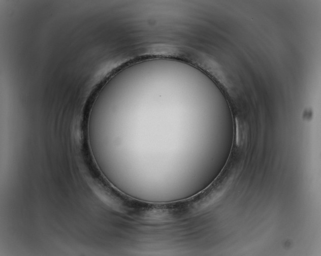 X0000101680252200807241352