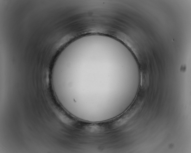 X0000101680253200807241352