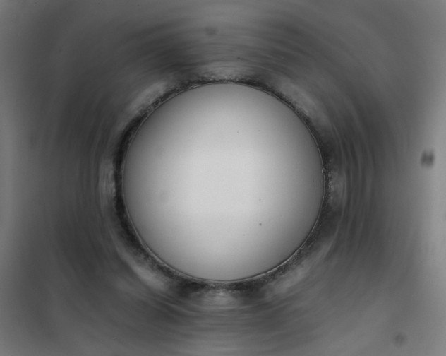 X0000101680254200807241353