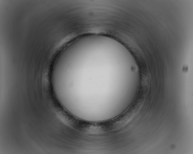 X0000101680256200807241353