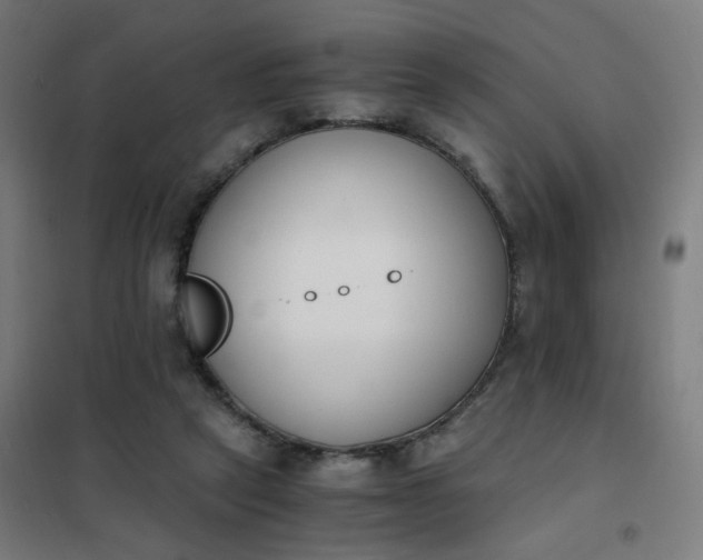 X0000101680257200807241353