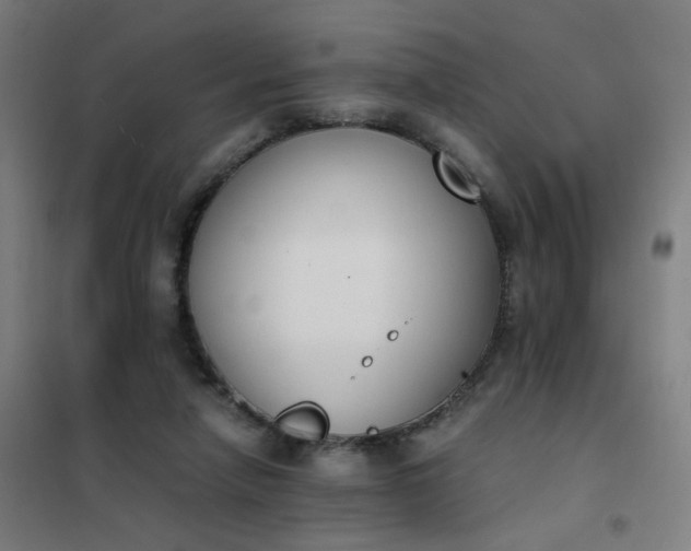 X0000101680258200807241353