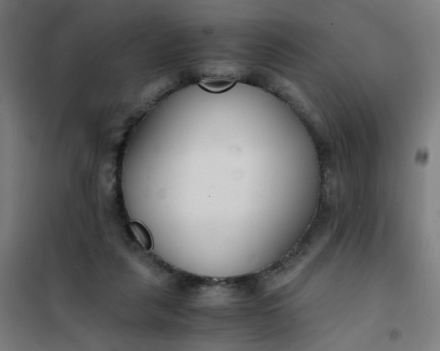 X0000101680259200807241353