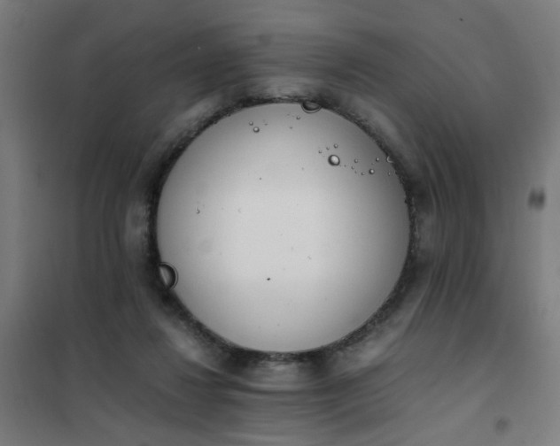 X0000101680260200807241353