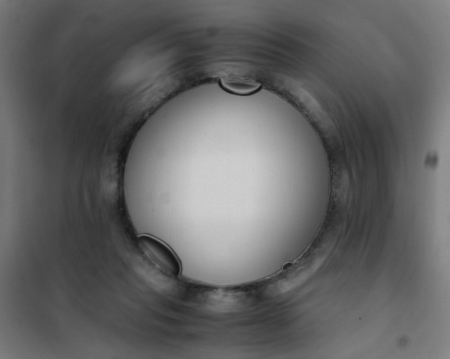 X0000101680261200807241353