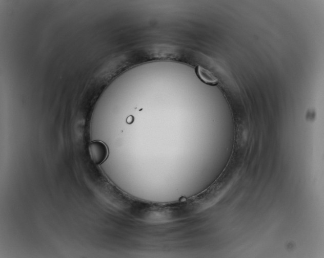 X0000101680263200807241353