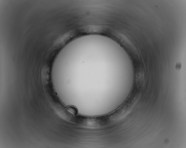 X0000101680264200807241353