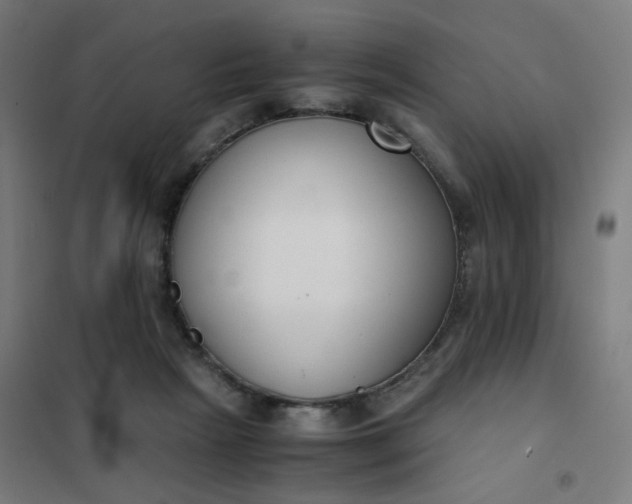 X0000101680265200807241353