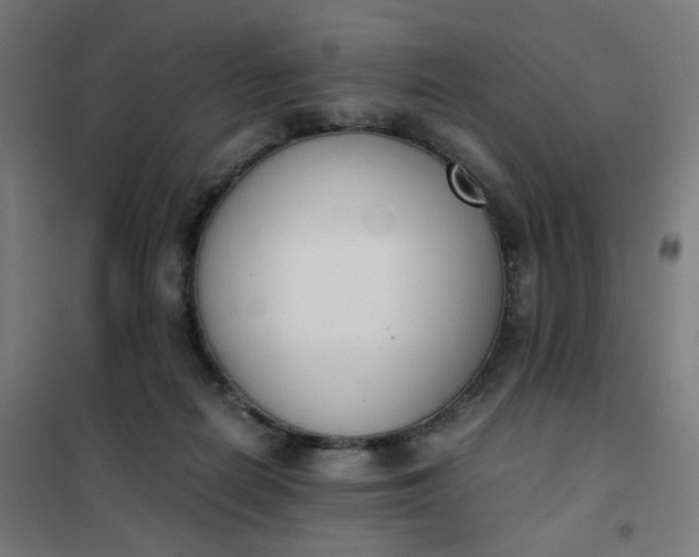 X0000101680266200807241353