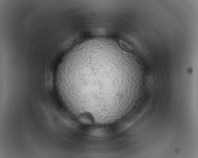 X0000101680267200807241353